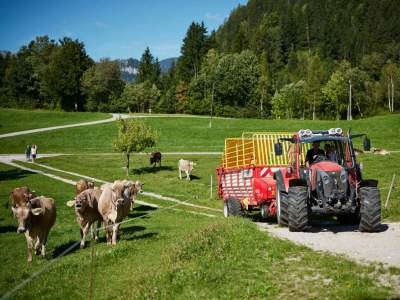 Apartment Apartment/2 Schlafräume/Dusche, WC - Outdoor photo 27
