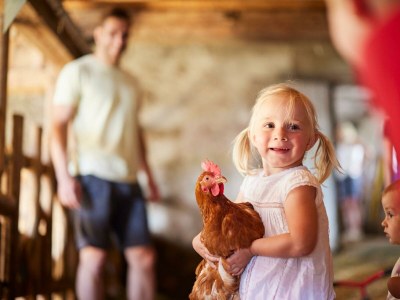 Apartment Apartment/2 Schlafräume/Dusche, WC - Outdoor photo 31
