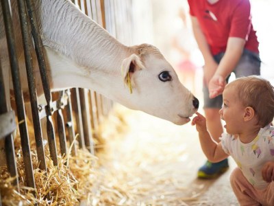 Apartment Apartment/2 Schlafräume/Dusche, WC - Outdoor photo 32