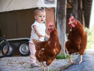 Apartment Apartment/2 Schlafräume/Dusche, WC - Outdoor photo 34