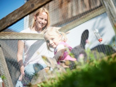 Apartment Apartment/2 Schlafräume/Dusche, WC - Outdoor photo 35