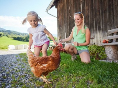 Apartment Apartment/2 Schlafräume/Dusche, WC - Outdoor photo 38