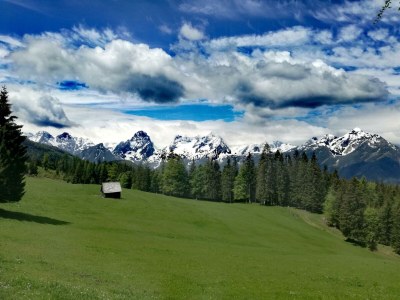 Apartment Apartment/1 Schlafraum/Dusche, WC in Vorderstoder - Apartment