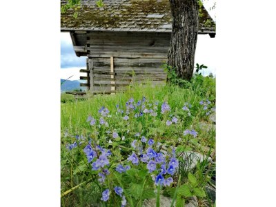 Apartment Apartment/1 Schlafraum/Dusche, WC - Outdoor photo 11