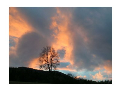 Apartment Apartment/1 Schlafraum/Dusche, WC - Outdoor photo 12