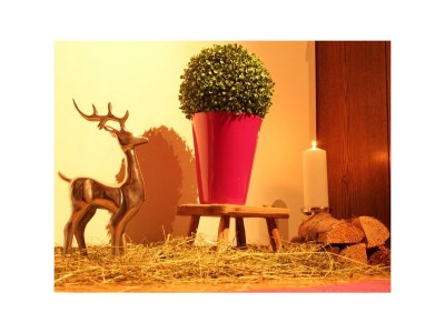 Apartment Apartment/1 Schlafraum/Dusche, WC - Outdoor photo 13