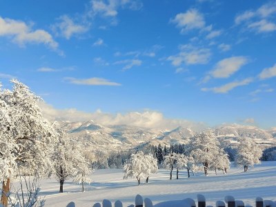 Apartment Apartment/1 Schlafraum/Dusche, WC - Outdoor photo 17