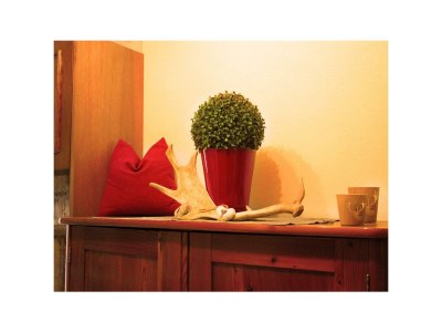 Apartment Apartment/1 Schlafraum/Dusche, WC - Outdoor photo 22