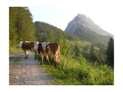 Apartment Apartment/1 Schlafraum/Dusche, WC - Outdoor photo 25