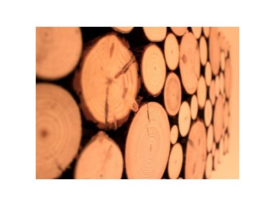 Apartment Apartment/1 Schlafraum/Dusche, WC - Outdoor photo 26