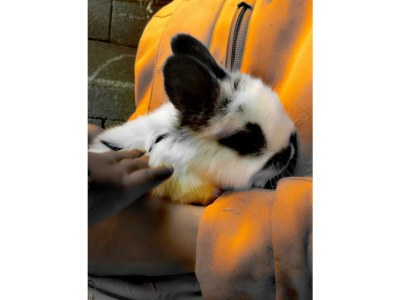 Apartment Apartment/1 Schlafraum/Dusche, WC - Outdoor photo 31