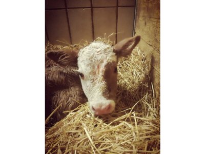 Apartment Apartment/1 Schlafraum/Dusche, WC - Outdoor photo 34