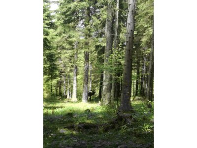 Apartment Apartment/1 Schlafraum/Dusche, WC - Outdoor photo 36