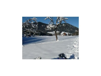 Apartment "Spitzmauer"/Wohn-Schlafraum/Dusche, WC - Outdoor photo 6