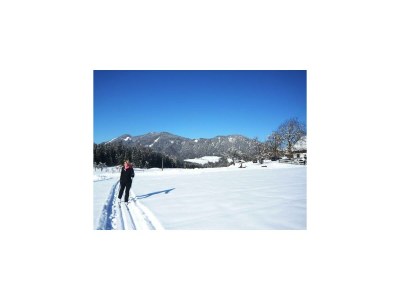 Apartment "Spitzmauer"/Wohn-Schlafraum/Dusche, WC - Outdoor photo 8