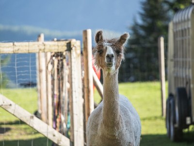 Apartment Apartment/2 Schlafräume/Dusche, WC (23, 33) - Outdoor photo 12