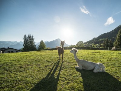 Apartment Apartment/2 Schlafräume/Dusche, WC (23, 33) - Outdoor photo 13