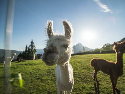 Apartment Apartment/2 Schlafräume/Dusche, WC (23, 33) - Outdoor photo 14