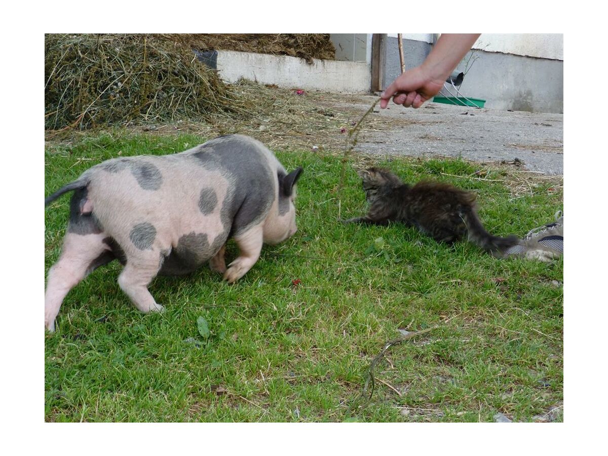 Apartment Apartment/3 Schlafräume/Dusche, WC - Outdoor photo 2