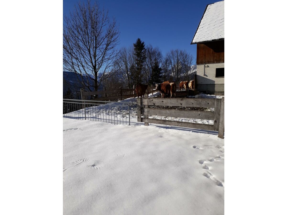 Apartment Apartment/3 Schlafräume/Dusche, WC - Outdoor photo 3