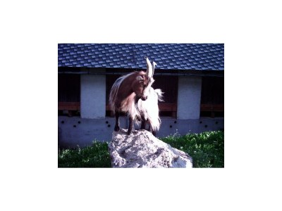 Apartment Apartment/3 Schlafräume/Dusche, WC - Outdoor photo 9