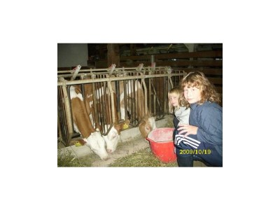 Apartment Apartment/3 Schlafräume/Dusche, WC - Outdoor photo 11