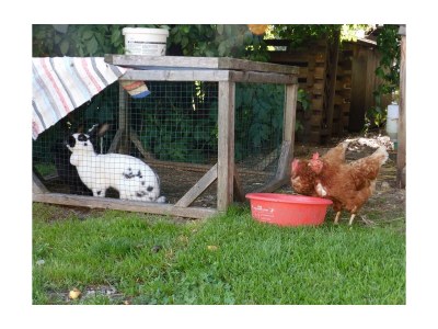 Apartment Apartment/3 Schlafräume/Dusche, WC - Outdoor photo 14