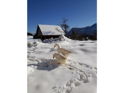 Apartment Apartment/3 Schlafräume/Dusche, WC - Outdoor photo 23