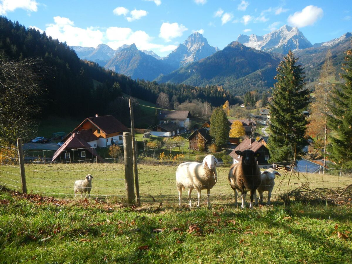 Apartment Appartement/Fewo, Toilette und Bad/Dusche getrennt - Outdoor photo 2