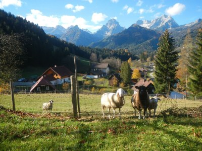 Apartment Appartement/Fewo, Toilette und Bad/Dusche getrennt - Outdoor photo 2