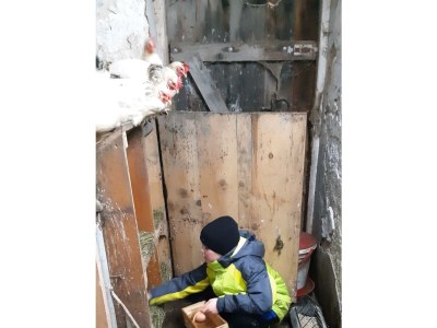 Apartment Ferienwohnung "Bosruck" - Outdoor photo 42