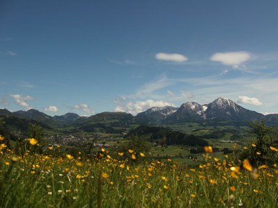 Apartment Ferienwohnung "Seespitz" - Outdoor photo 11