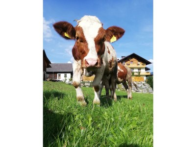 Apartment Ferienwohnung "Seespitz" - Outdoor photo 12