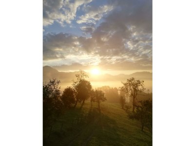 Apartment Ferienwohnung "Seespitz" - Outdoor photo 15