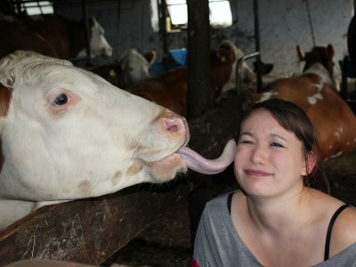 Apartment Ferienwohnung "Seespitz" - Outdoor photo 29