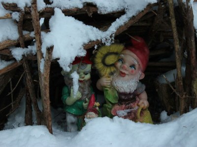 Apartment Ferienwohnung "Seespitz" - Outdoor photo 32