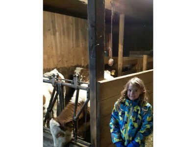 Apartment Ferienwohnung "Seespitz" - Outdoor photo 40