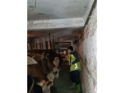 Apartment Ferienwohnung "Seespitz" - Outdoor photo 42