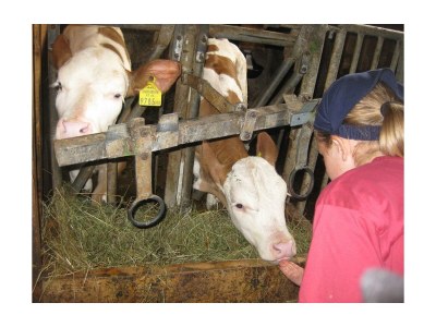 Apartment Ferienwohnung "Seespitz" - Outdoor photo 52