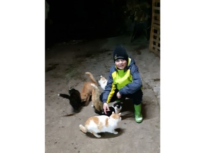 Apartment Ferienwohnung "Seespitz" - Outdoor photo 54