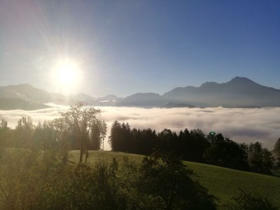 Apartment Ferienwohnung "Seespitz" - Outdoor photo 60