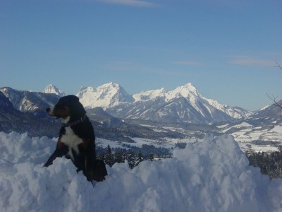 Apartment Apartment "Prielblick"/2 Schlafräume/Dusche/WC - Outdoor photo 9