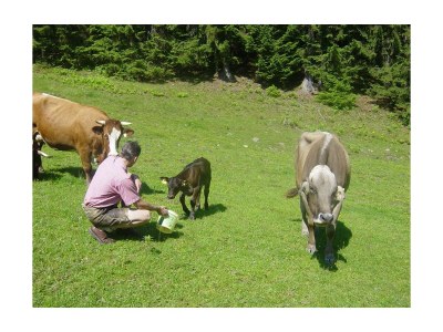Apartment Apartment "Prielblick"/2 Schlafräume/Dusche/WC - Outdoor photo 10