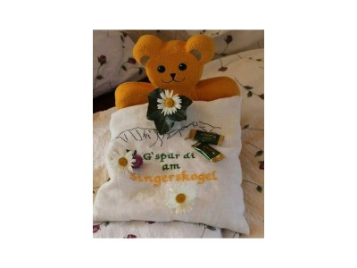 Apartment Apartment "Prielblick"/2 Schlafräume/Dusche/WC - Features photo 23