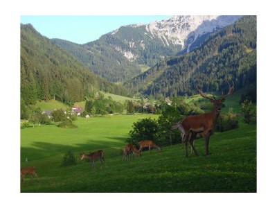 Apartment Schlafen im Holzfass - Outdoor photo 15