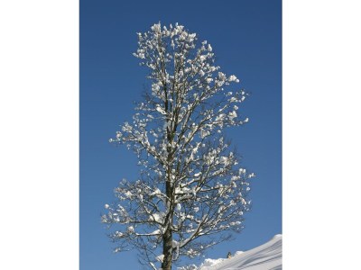 Apartment Schlafen im Holzfass - Features photo 21