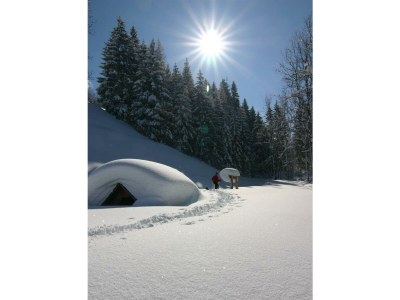 Apartment Schlafen im Holzfass - Features photo 22