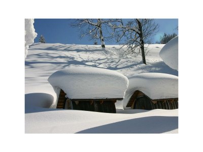 Apartment Schlafen im Holzfass - Features photo 24