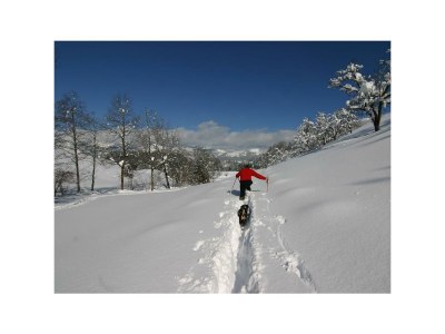 Apartment Schlafen im Holzfass - Features photo 31