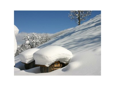 Apartment Schlafen im Holzfass - Features photo 34